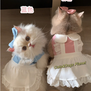 宠物猫咪狗狗春夏雪纺纯棉小裙子高品质可爱衣服套装金渐层比熊猫