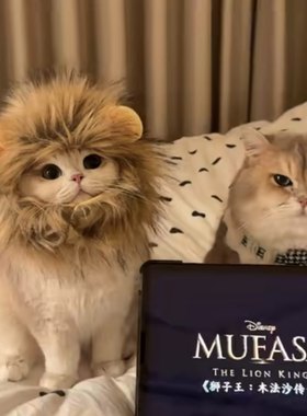 猫咪狮子王头套金色白色狮子变装