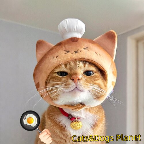 猫猫厨师宠物咪可爱搞怪变装头套