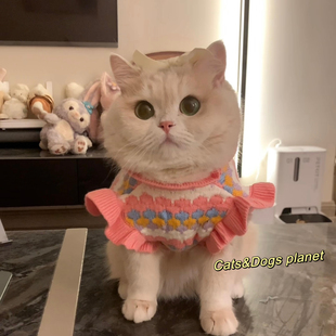 猫咪狗狗衣服针织立体小花保暖飞袖公主风保暖甜美服装金渐层比熊