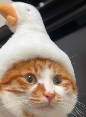 猫咪大白鹅帽子头套宠物搞笑狗狗小猫变装帽狮子兔耳鲷鱼烧蜜蜂帽