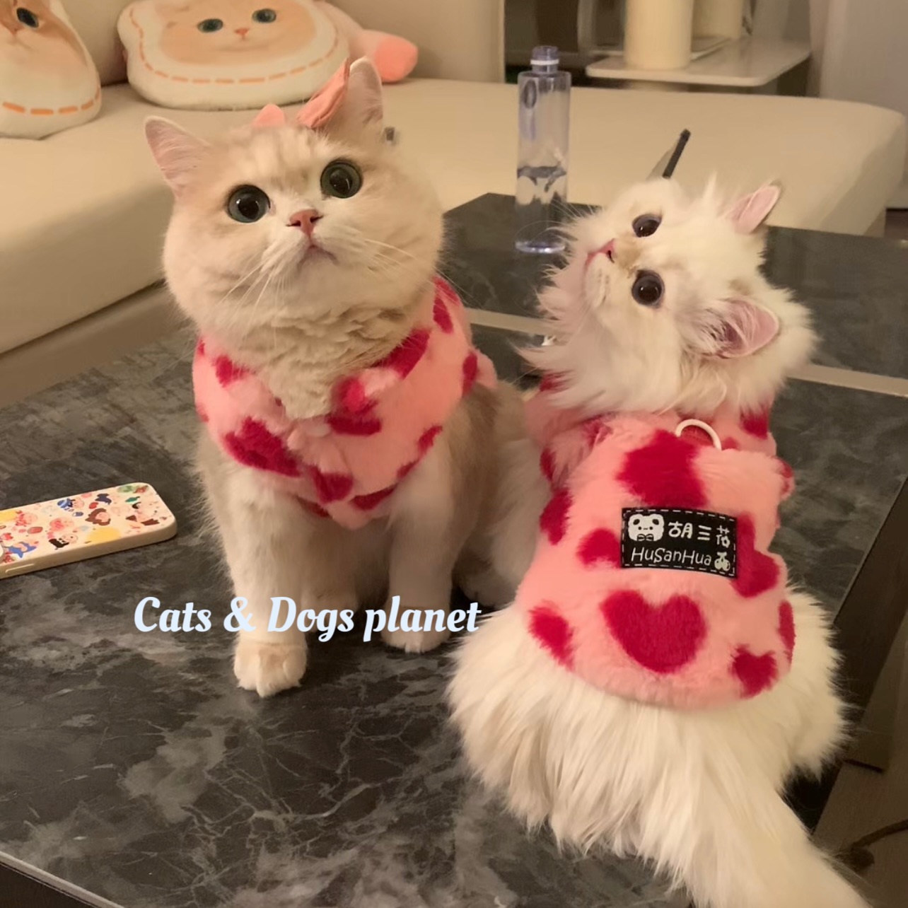 猫咪衣服狗狗秋冬款毛绒爱心保暖背心金渐层比熊布偶宠物可爱服装