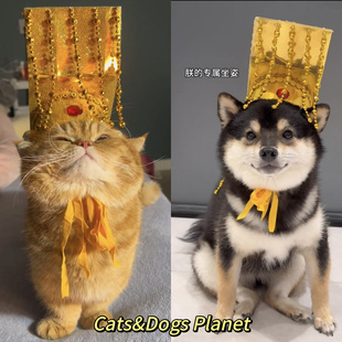 宠物猫咪皇帝帽搞怪创意狗狗宫廷头饰头套cos秦始皇头冠帽子拍照