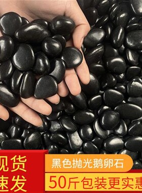 50斤黑色鹅卵石庭院花园造景铺路铺地大小L石N头天然雨花石原石黑