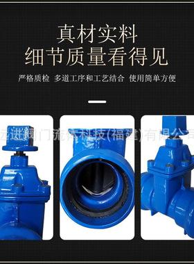 闸阀 德标335 F5弹性座封闸阀 Z45三元乙丙橡胶法兰X闸阀 2PCVC管