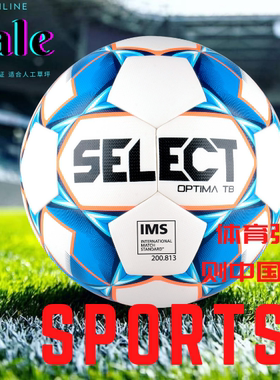 SELECT/施莱克特欧洲青训职业比赛训练足球高强度耐踢耐磨足球