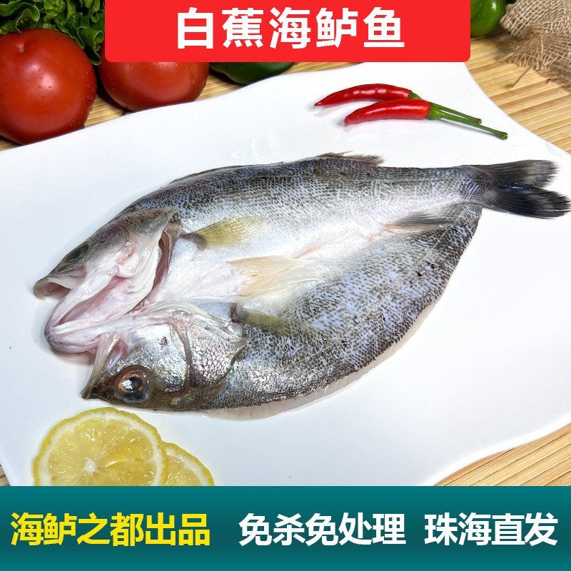 白蕉海鲈鱼新鲜海鲜水产生鲜冷冻真空袋清蒸鲈鱼芦鱼卢鱼珠海特产,水产肉类/新鲜蔬果/熟食,淡水鱼类,淘宝优惠券,粉丝福利购,淘宝优惠卷