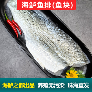 白蕉海鲈鱼鱼排无刺鱼柳新鲜鲈鱼芦鱼卢鱼鱼块鱼段 珠海斗门特产