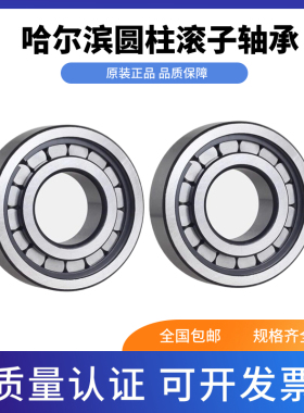 哈尔滨 NU NJ NUP 307 308 309 310 311 312 圆柱滚子轴承 EM