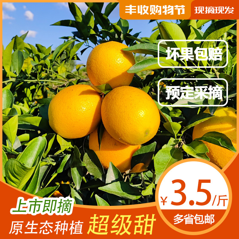 江西赣南脐橙正宗信丰橙子甜手剥橙新鲜现摘南方水果果园直发整箱