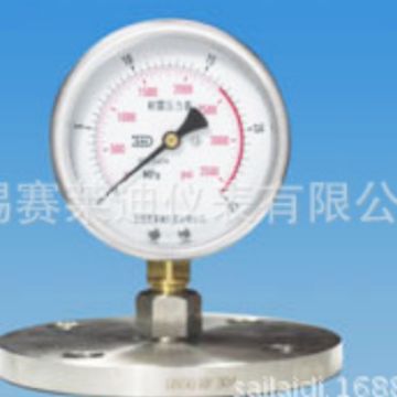 法兰连接隔膜表 隔膜压力表 隔膜远传压力表 耐震隔膜表YN100-MF