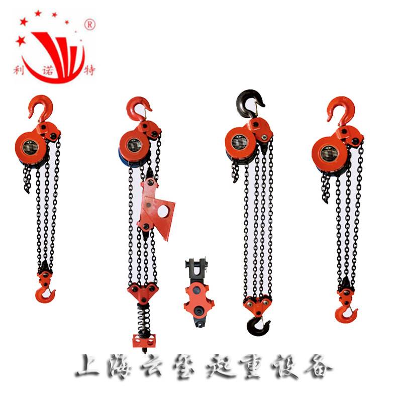 厂家直销7.5吨10吨DHP群吊电动葫芦焊灌用葫芦5吨环链群吊电葫芦