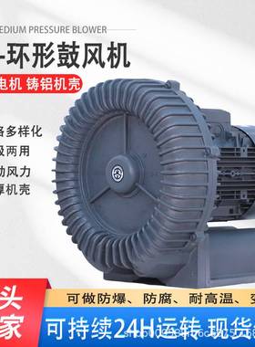 RB-077隧道电炉送风热风循环机用RB-057高压环形鼓风机 5.5KW风泵