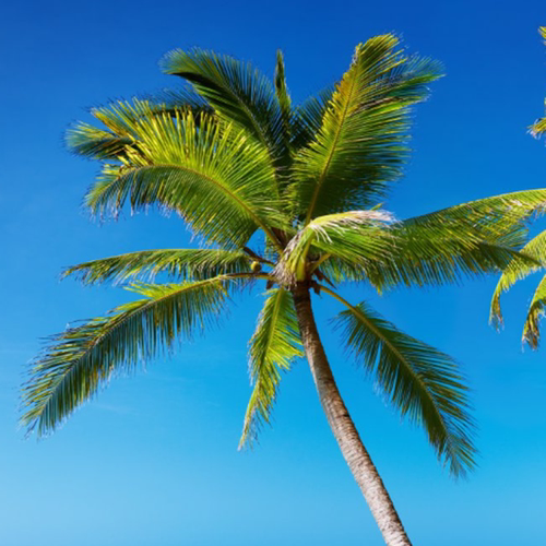 这是一家感情店8090后怀旧铺冷飞白如是生活希望你暴富哇素材图