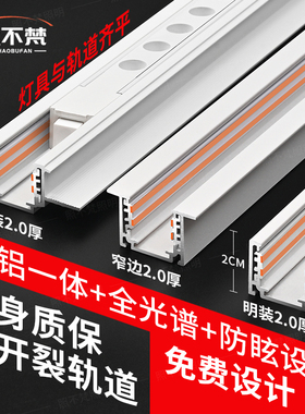 照不梵 磁吸轨道灯超薄矮款白色智能款嵌入式明装预埋客厅无主灯