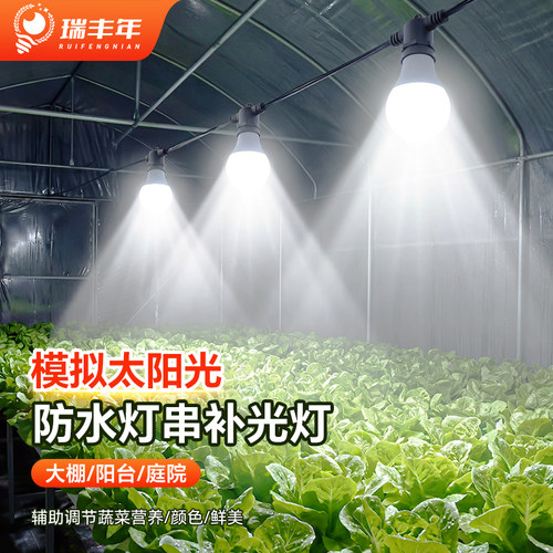 植物补光灯仿太阳光大棚蔬菜花卉绿植户外防水灯串灯泡led生长灯