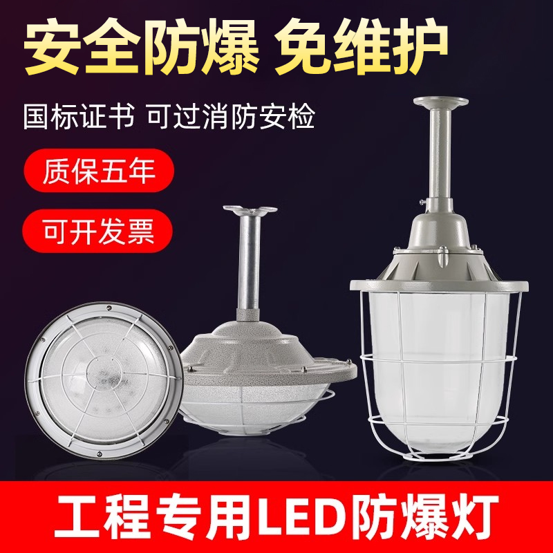 【国标认证】安检专用LED防爆灯