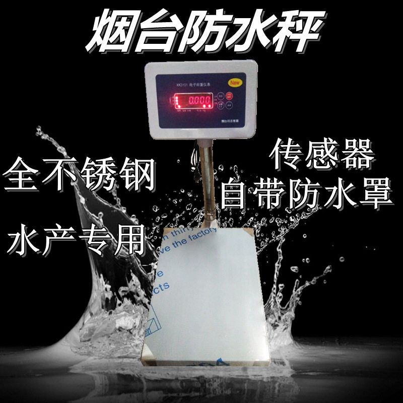 烟台钧杰XK-3101防水台秤 水产专用秤 海鲜防水全不锈钢台秤