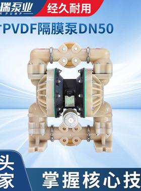 厂家供应批发BQG50PVDF隔膜泵DN502寸氟塑料隔膜泵白色清漆隔膜泵