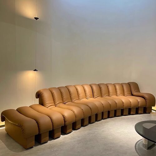 DeSede DS600设计师蛇形沙发别墅大小户型中古组合弧型创意沙发