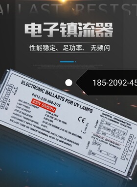 PH12-230-800-2/75环保设备紫外线光催化UV光氧灯管椭圆810镇流器