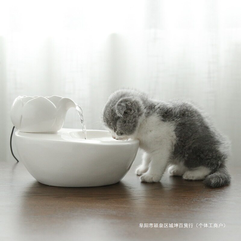 循环饮水器喂自动陶瓷流水猫用防之新水碗自动喝水猫咪饮包邮