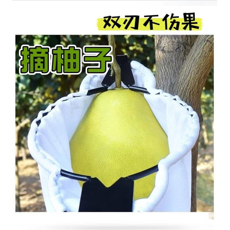 摘柚子神器双刃摘核桃神器伸缩杆高空摘石榴梨工具不锈钢采果柿子