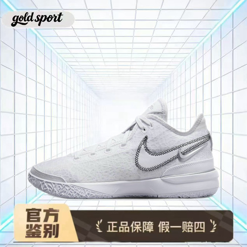 nike zoom詹姆斯篮球鞋运动鞋特价断码清仓dr8788-101 广东lz仓