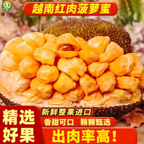 越南红肉菠萝蜜热卖新鲜水果进口