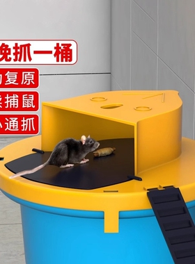 老鼠扑捉器新型捕鼠神器家用全自动连续翻盖陷阱桶老鼠夹子灭鼠器