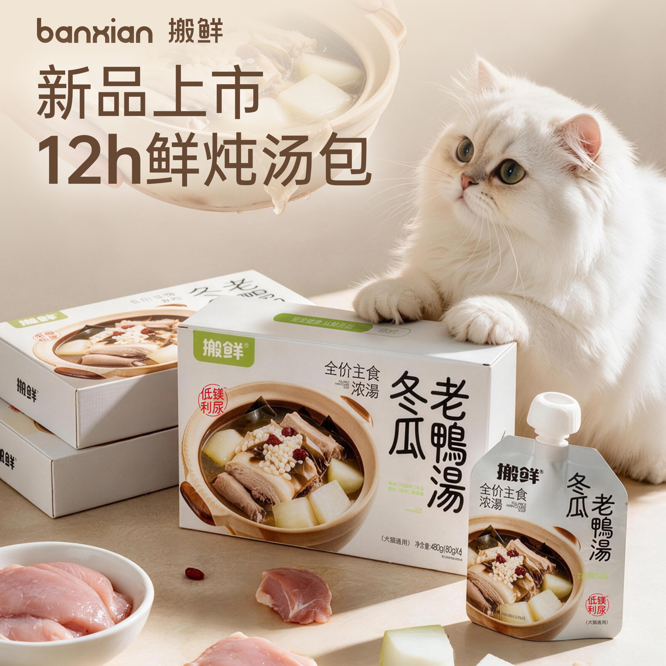 搬鲜猫补水汤包全价主食罐头猫饭图片