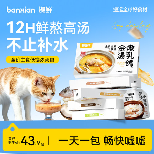 搬鲜猫咪补水汤包主食全价低镁嘘