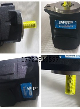 现货法国丹尼逊叶片泵T6C-028-2R01-B1液压油泵T6C-028W-2R00-B1