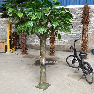 仿真橡胶树热带假割胶流汁橡胶园造景F落地装饰摆件森系巴西橡皮