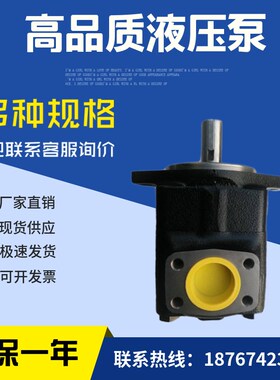 双联油泵PVV21-n1X/055-027RA15DDMB叶片泵现货