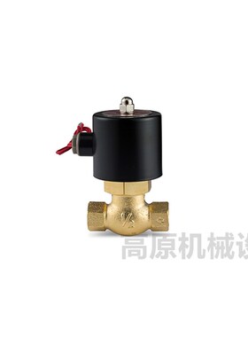 2L170-15 US-15 US系列全J铜高温蒸汽电磁阀 热水阀