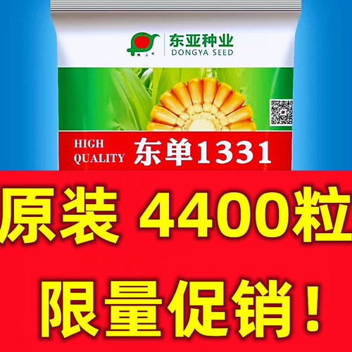 东单1331玉米种4400粒一袋3斤2两