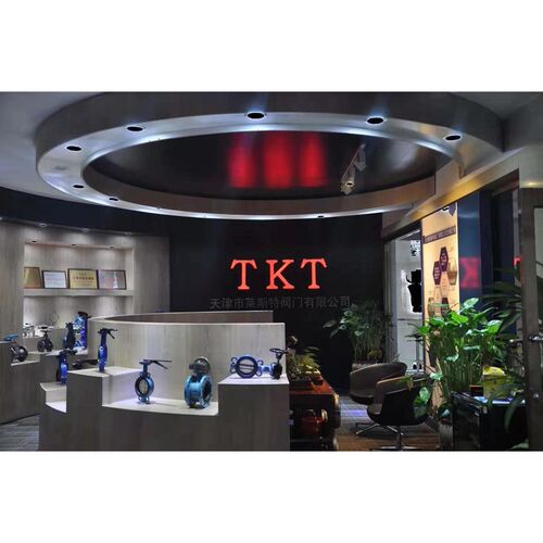 TKT天津莱斯特阀门D343H-16/25C铸F钢三偏心涡轮法兰蝶阀DN50-200