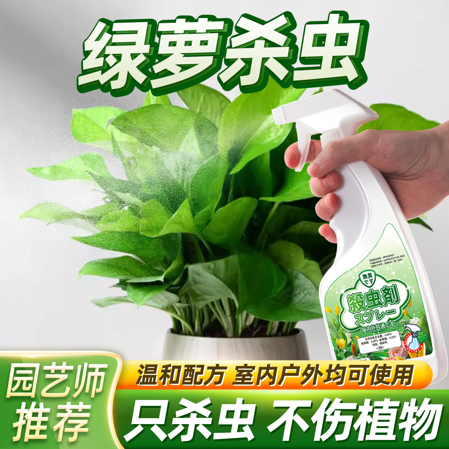 绿萝杀虫剂绿箩除虫小飞虫驱虫打虫药小黑飞长虫生专用喷剂灭虫子