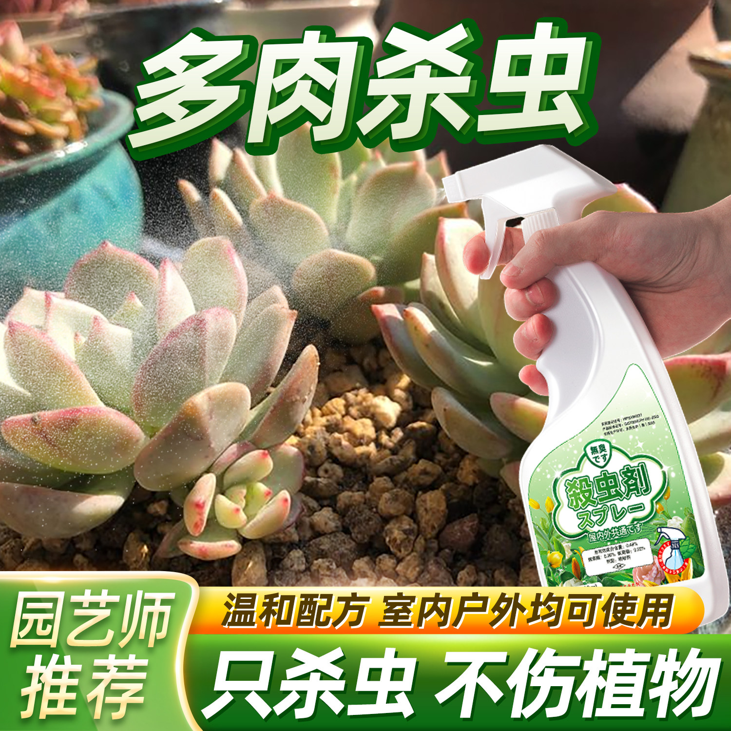 多肉驱虫喷雾生石花杀虫剂肉生虫芥壳小虫子腻虫白色去药上长白虫