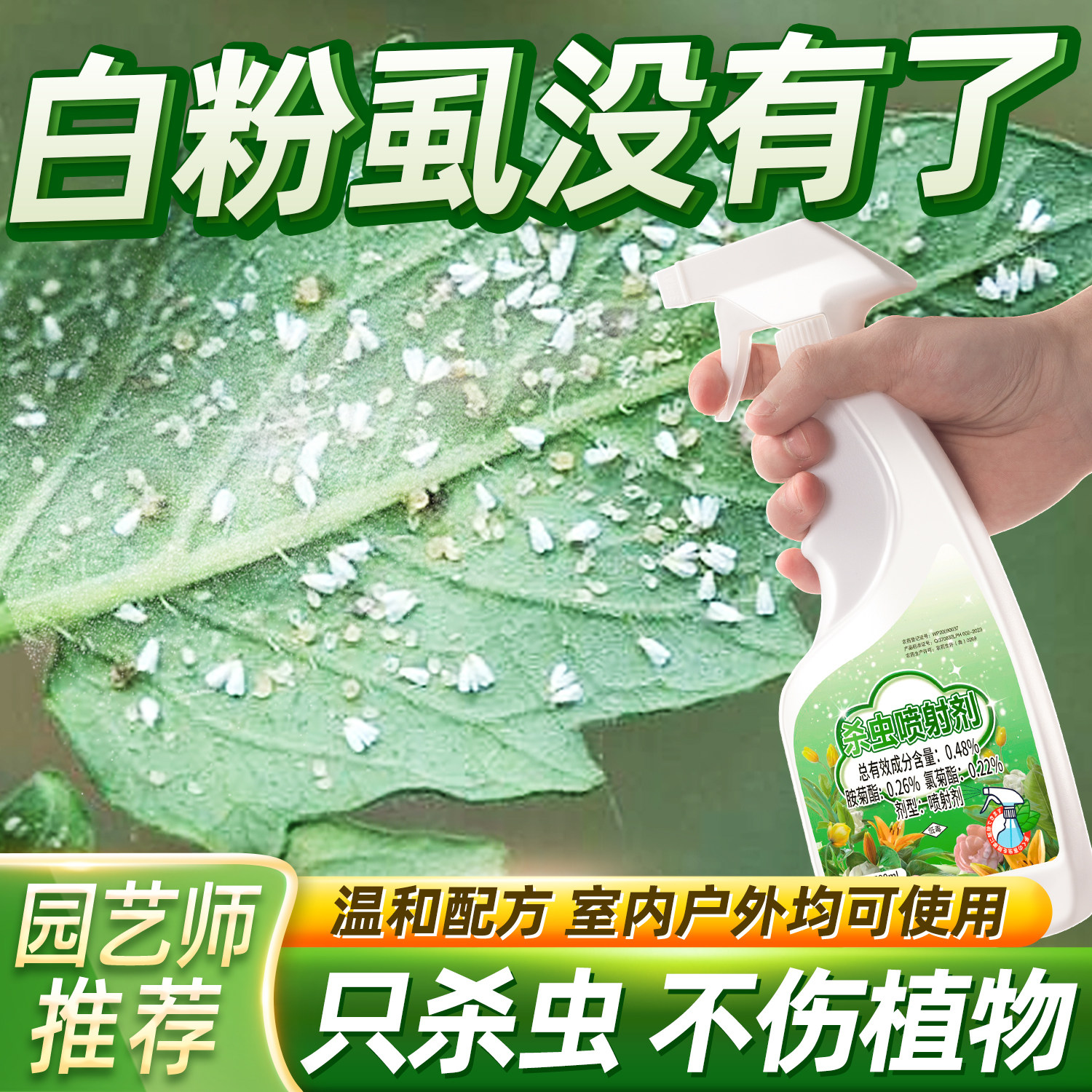 祛白粉虱杀虫剂家用祛除室内专用药治粉虱花药专杀喷雾灭专净杀除