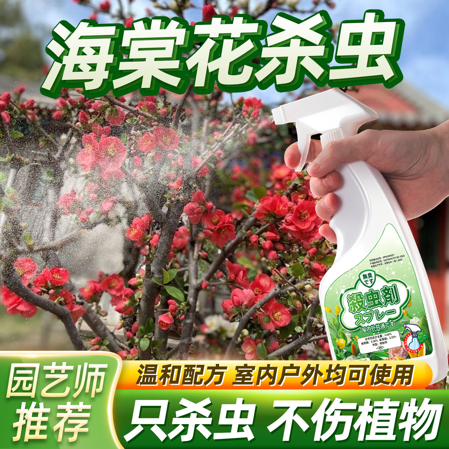 海棠花除虫蚜虫驱虫杀虫剂图片