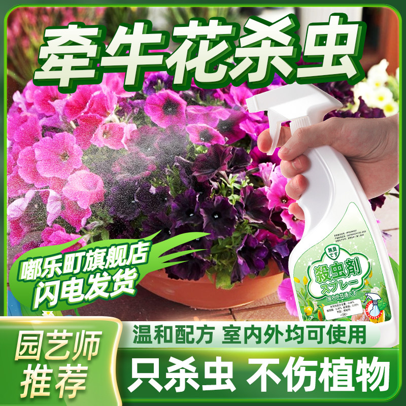 牵牛花杀虫剂牵牛虫子药除虫驱虫长虫花药白粉虱专用灭红蜘蛛蚜虫