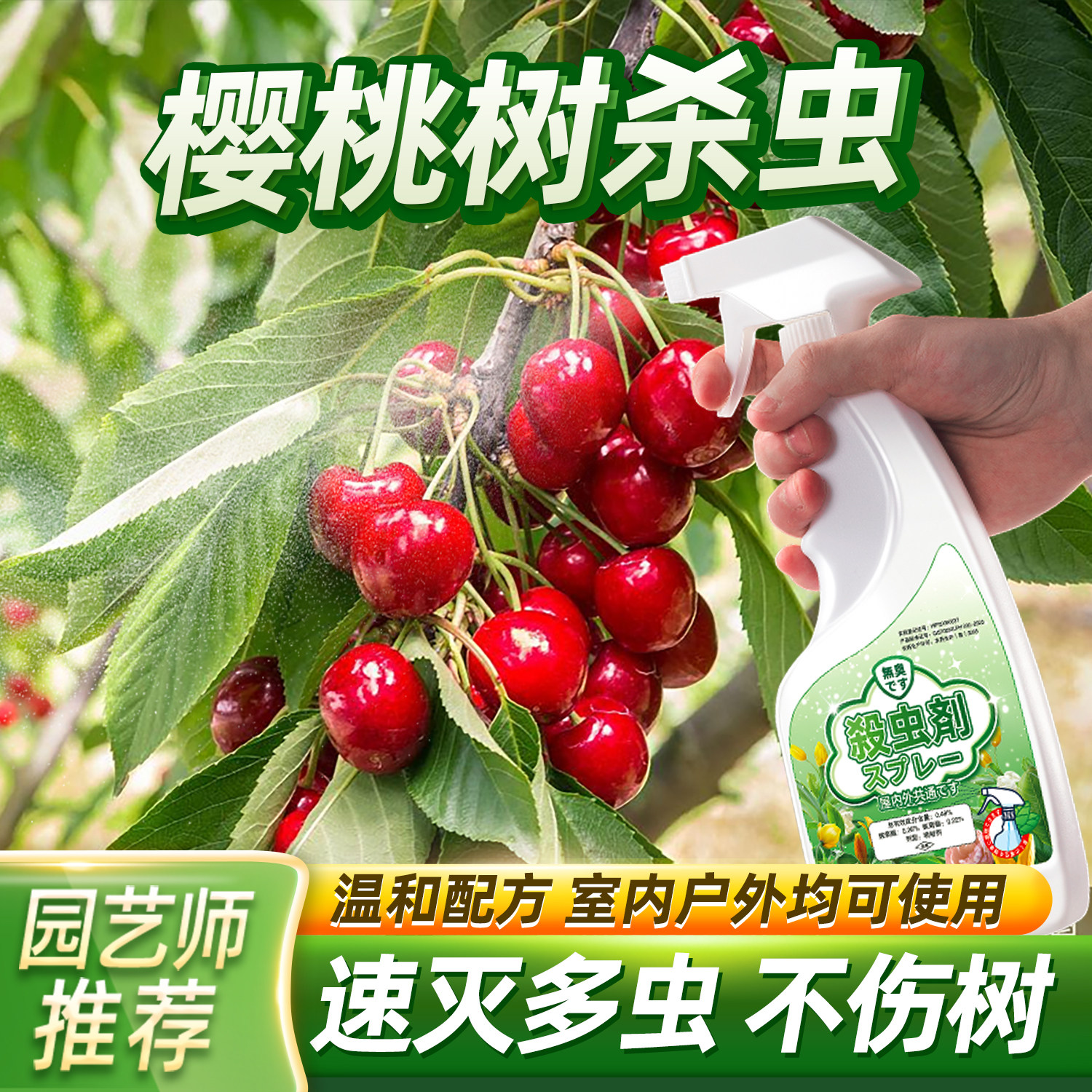樱桃树介壳灭虫车厘子树苗防虫药除蚂蚁梨树桃树杀虫专用小虫子长