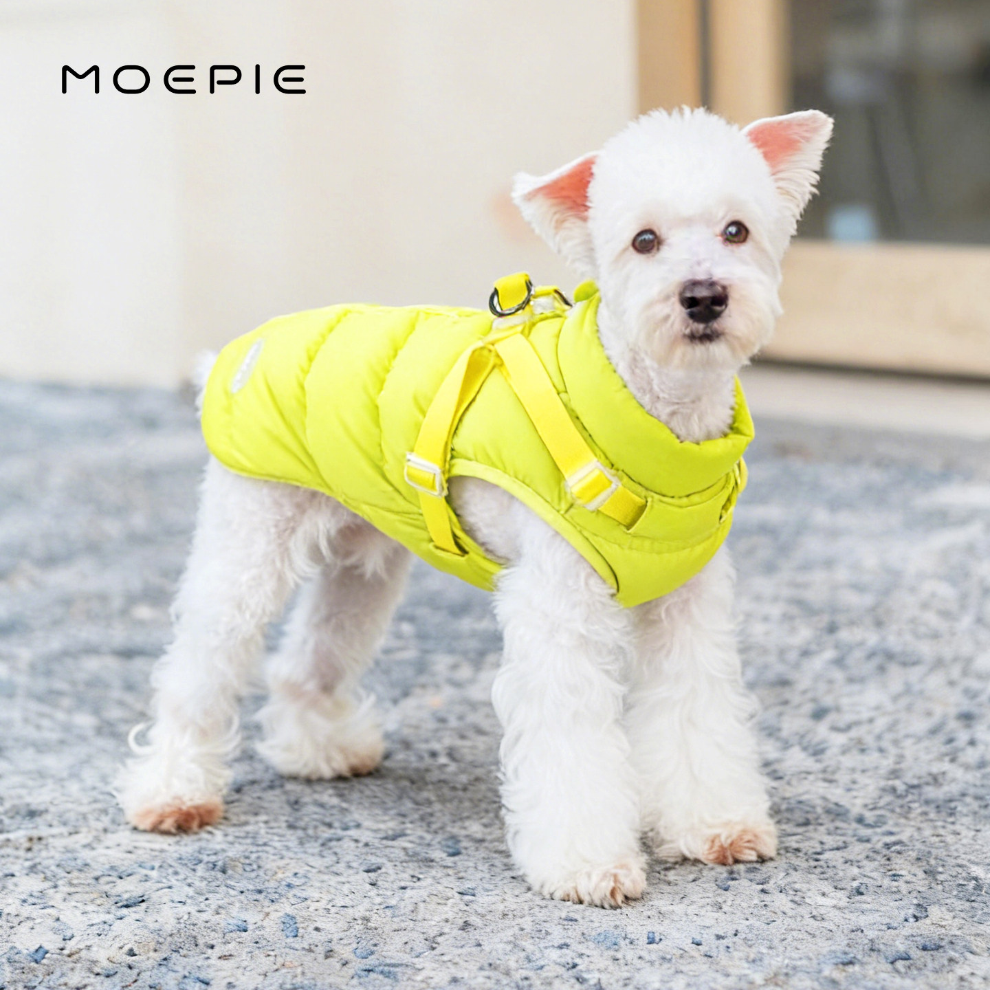 MOEPIE宠物狗狗衣服羽绒棉服冬季小狗比熊雪纳瑞柴犬可牵引棉衣冬