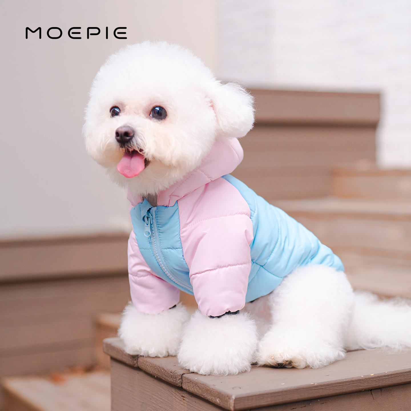 MOEPIE宠物狗衣服比熊冬装棉衣