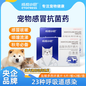 盐酸多西环素片猫咪感冒药咳嗽打喷嚏流鼻涕消炎药猫咪款成橙小巴