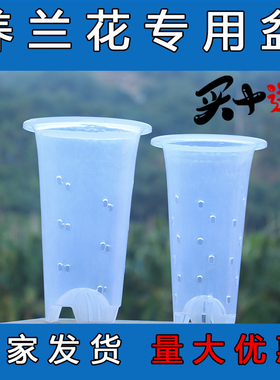 塑料 侧孔透明盆 加厚利水兰花草专用盆养根透气无侧孔兰花盆四季