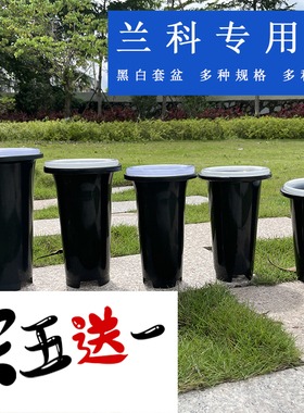 兰花套盆 兰花盆加固黑色透明塑料盆加厚加高简约兰花专用盆兰草