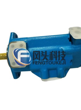 SCENERY塞纳瑞2l520V19A5-1DD-22R注塑机叶片泵 泵芯 泵轴及维修